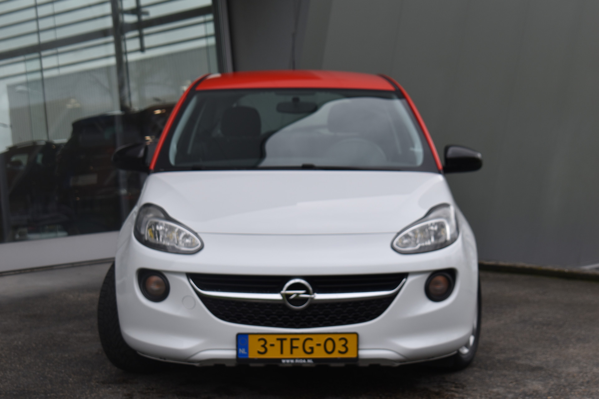 33797762-2.jpg