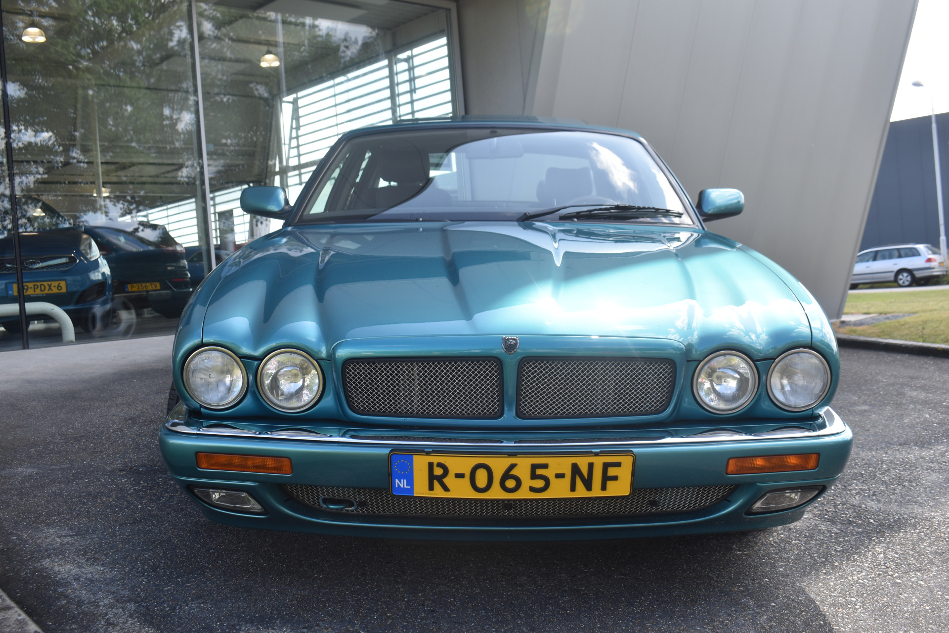 34567952-3.jpg