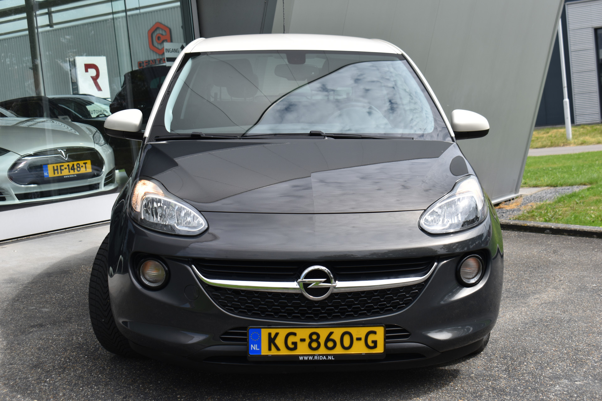 35131400-3.jpg