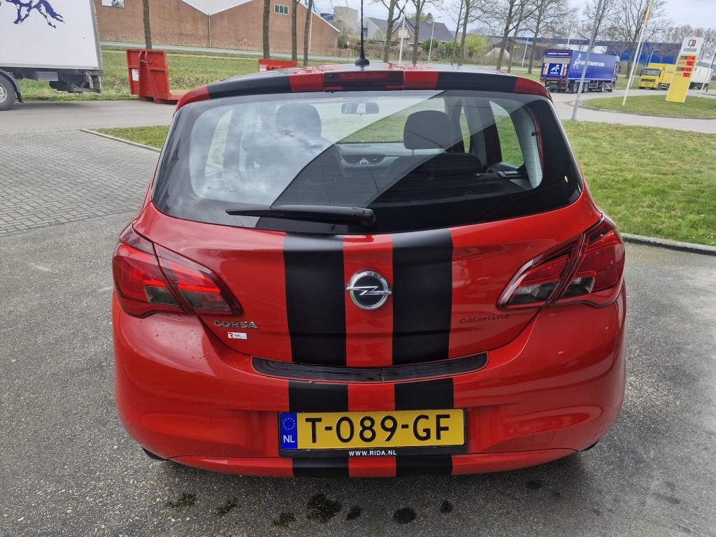 43693953-4.jpg