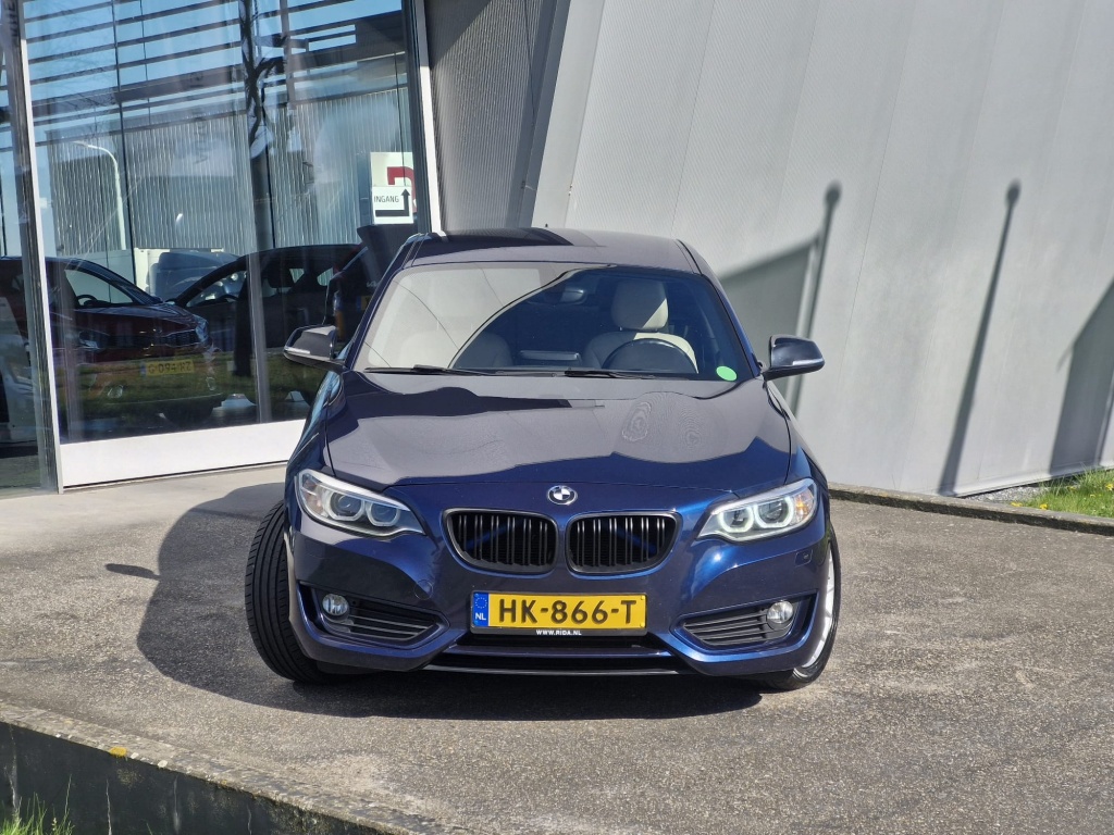 43915163-1.jpg