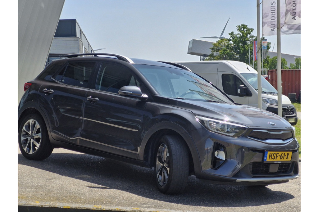 45915549-3.jpg