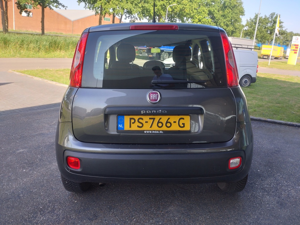 46495415-4.jpg